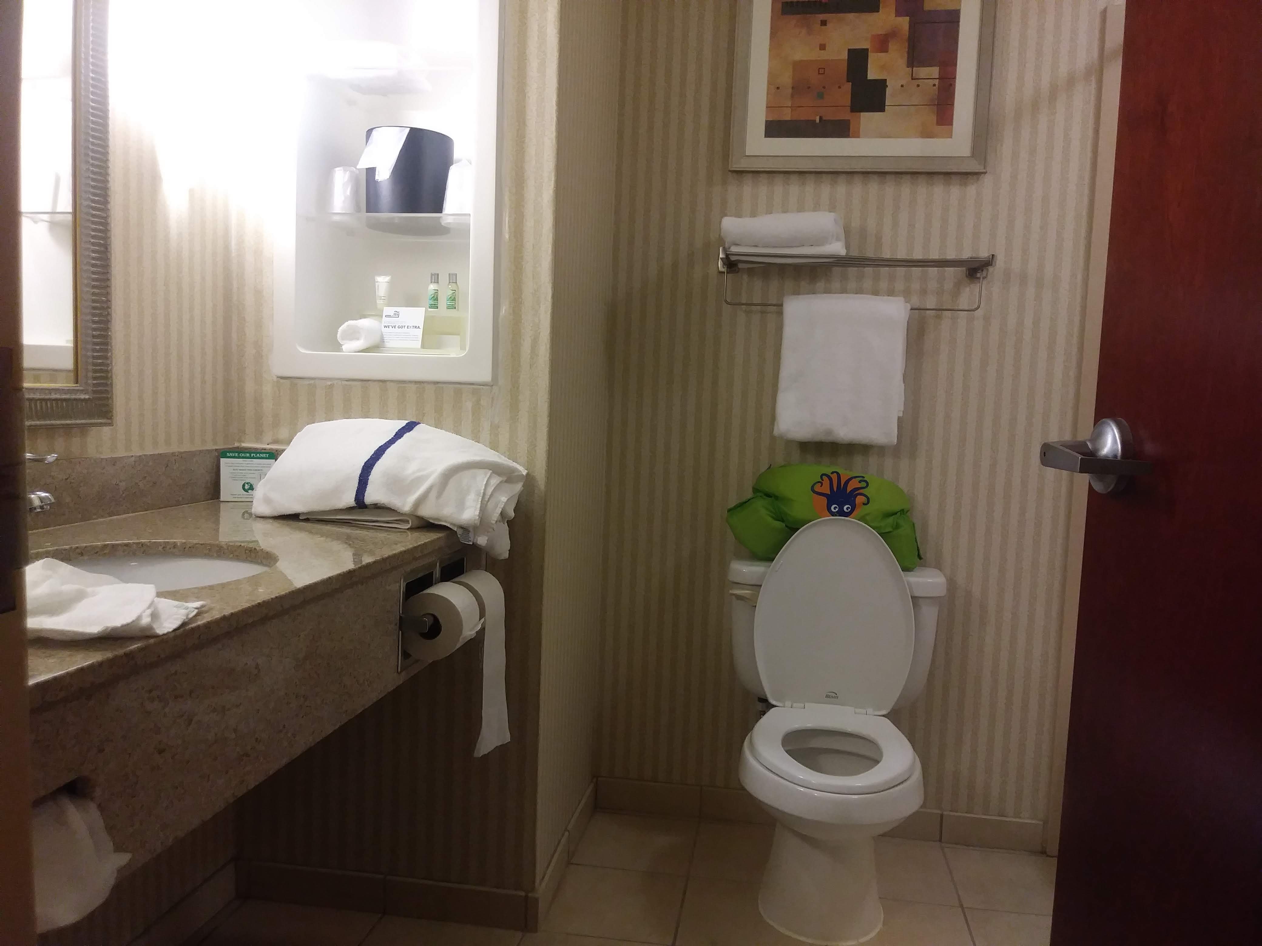 Holiday Inn Express & Suites Albany Airport Area - Latham-浴室