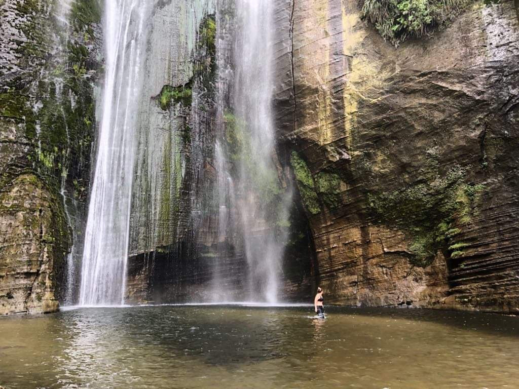 Shine Falls-纳皮尔必去景点