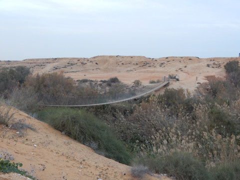 Habesor River Suspension Bridge