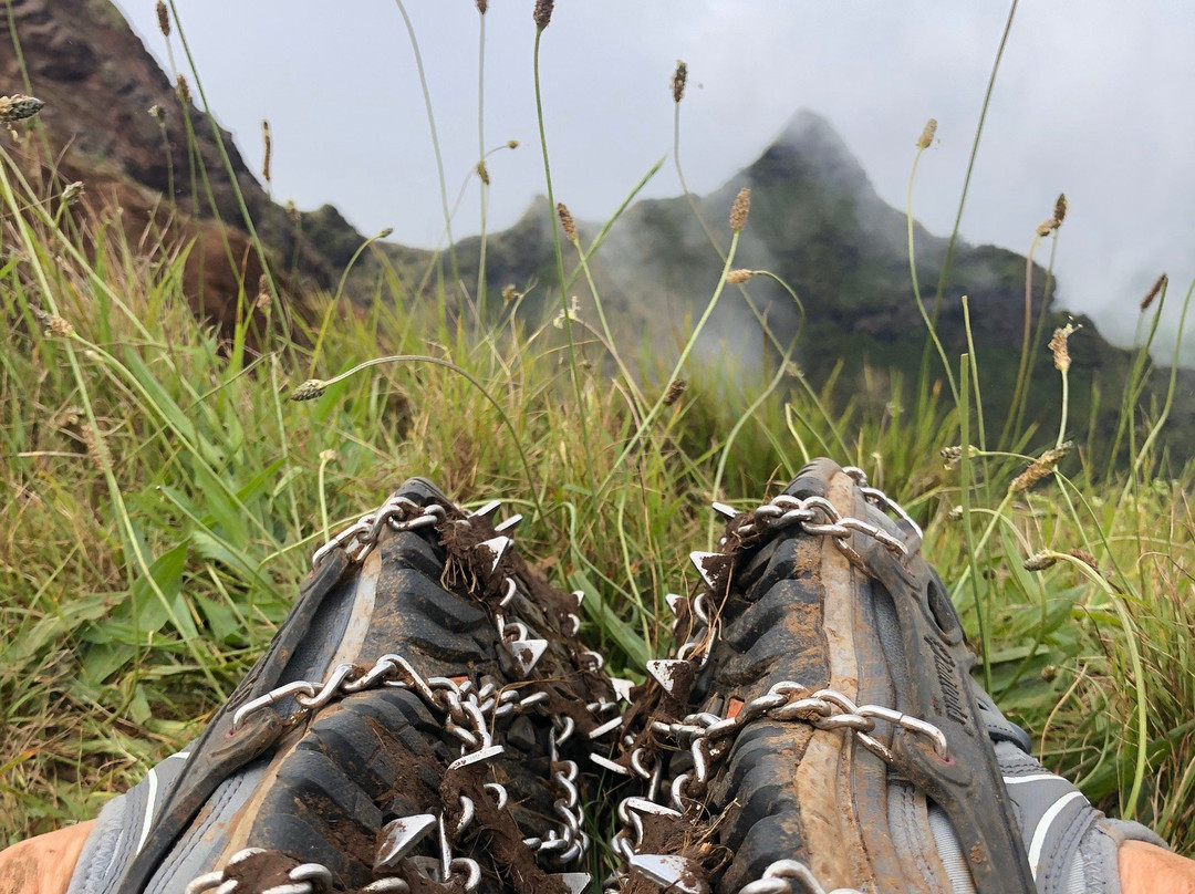 Hiking Kauai景点图片