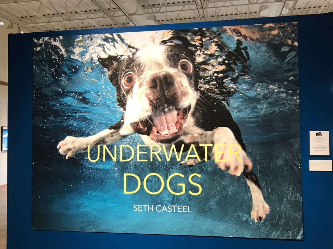 Minnesota Marine Art Museum-威诺纳必去景点