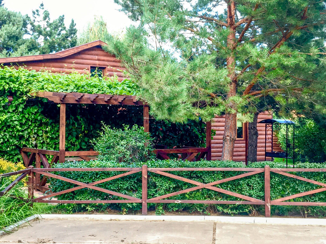 Kononenko旅游攻略图片