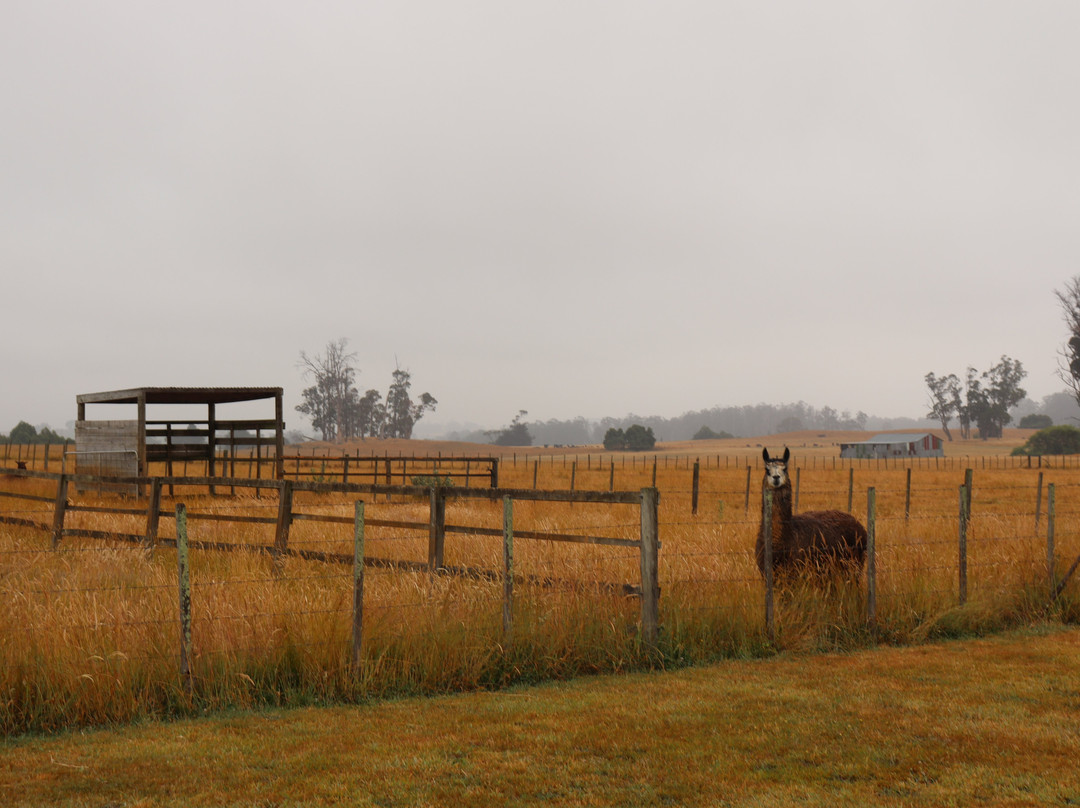 肯特山撤退 酒店主图