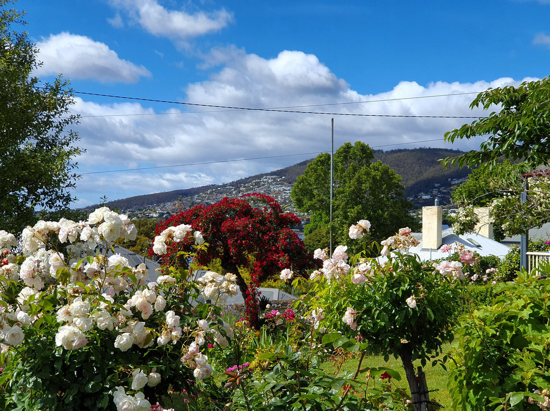 South Hobart景点图片