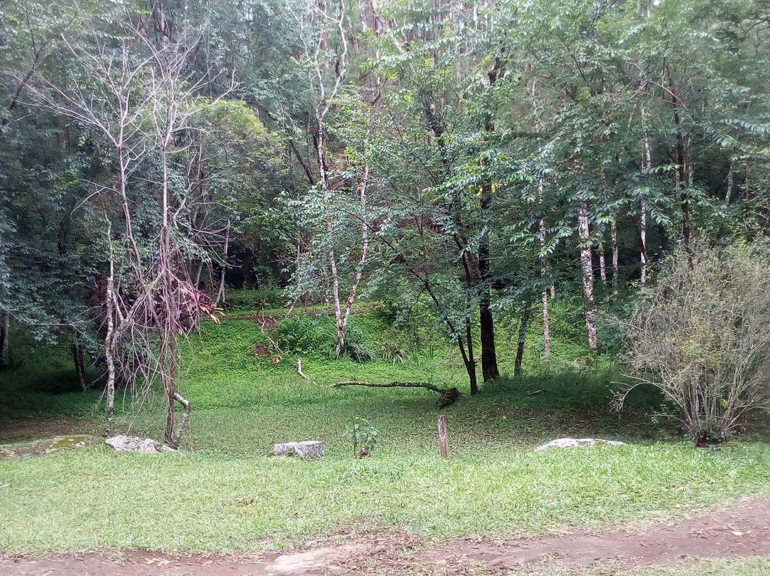 Juarez Frotté Municipal Park景点图片