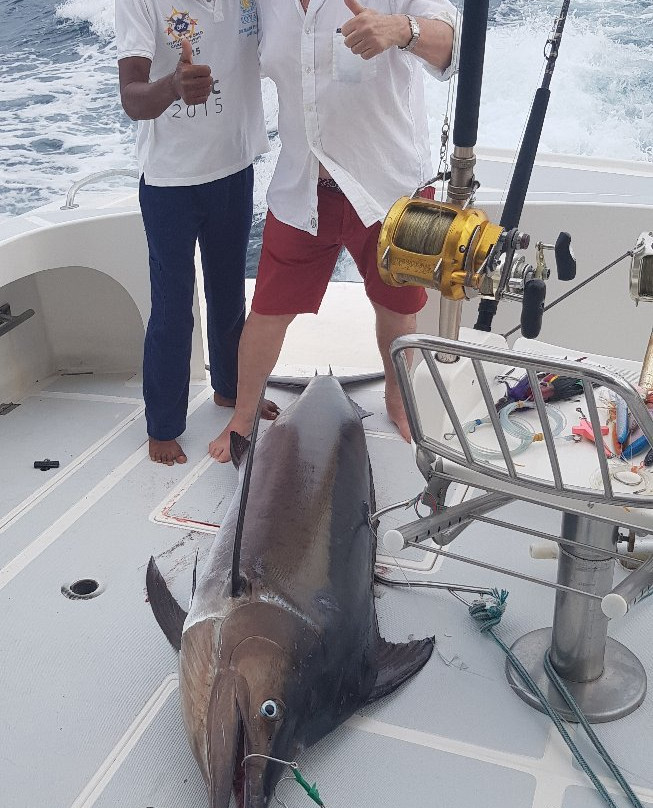 Royal Big Game Fishing Mauritius-卓得多斯必去景点