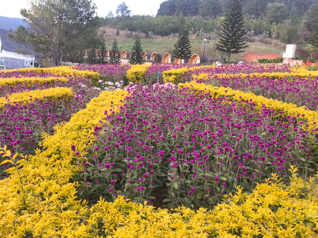 Dalat Wonder Resort主图