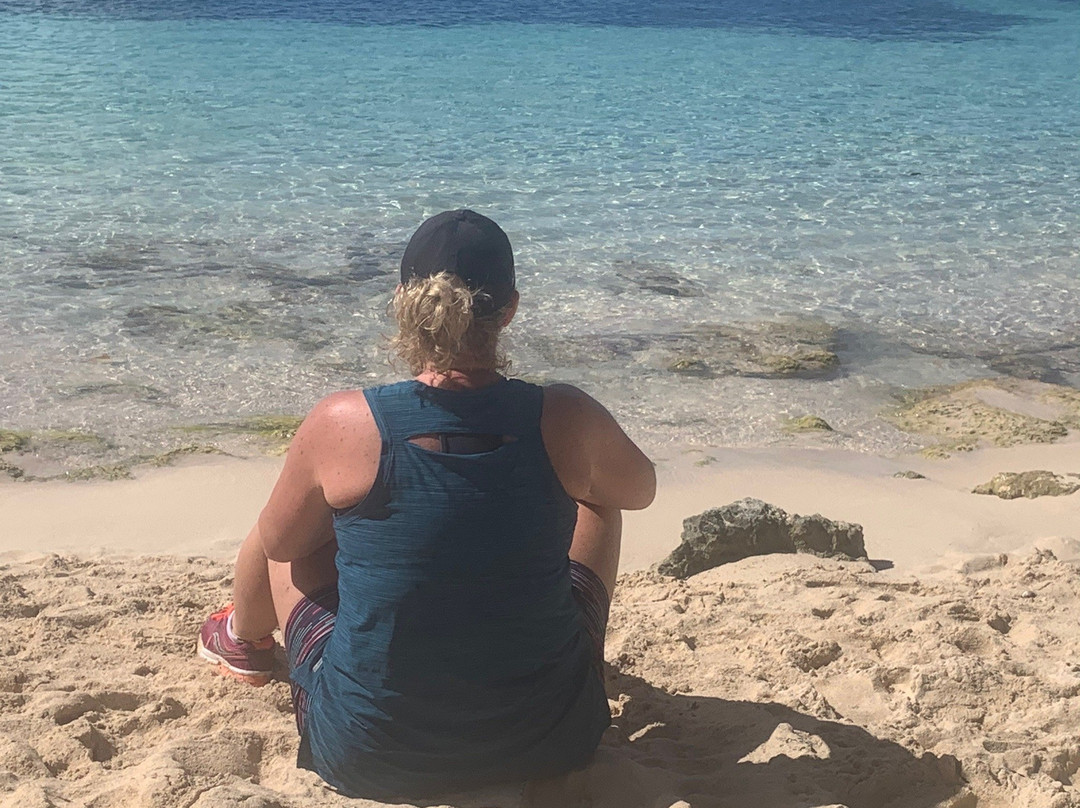 Les Marais de Port-Louis-Port-Louis必去景点