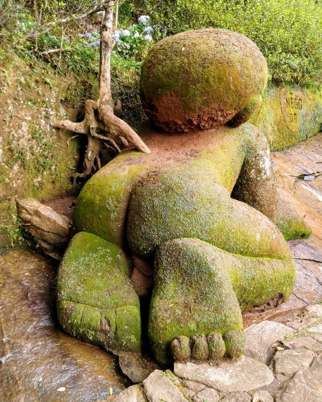 Jardim do Nêgo景点图片