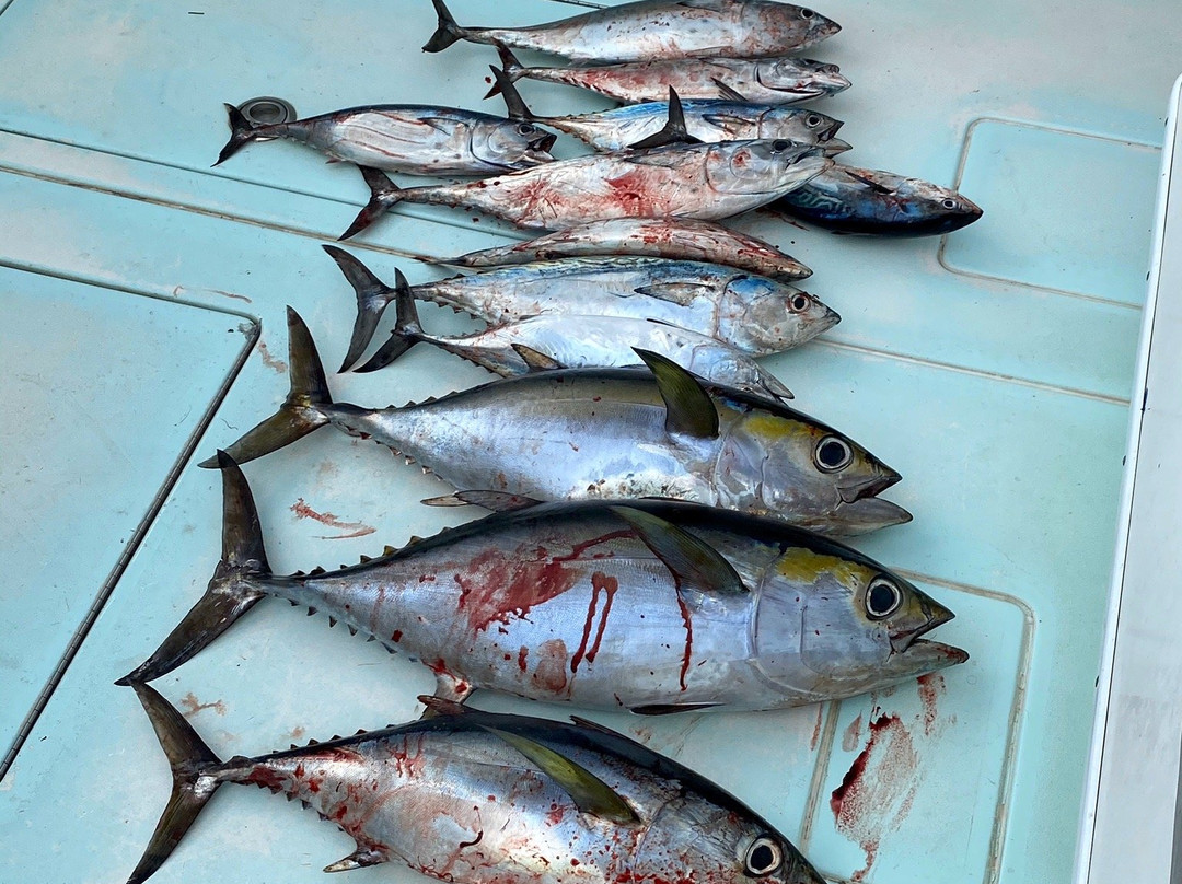 Makaira Fishing Charters景点图片