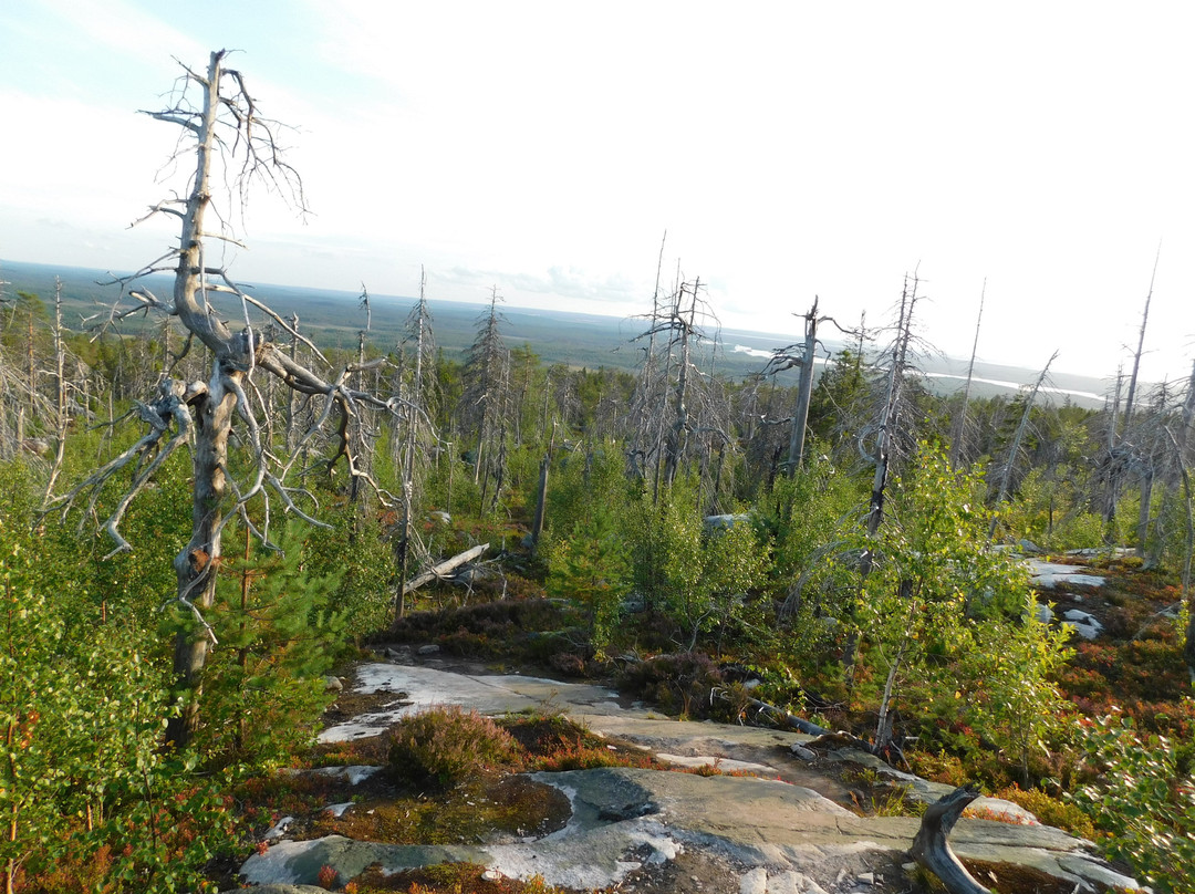 Vottovaara Mountain景点图片