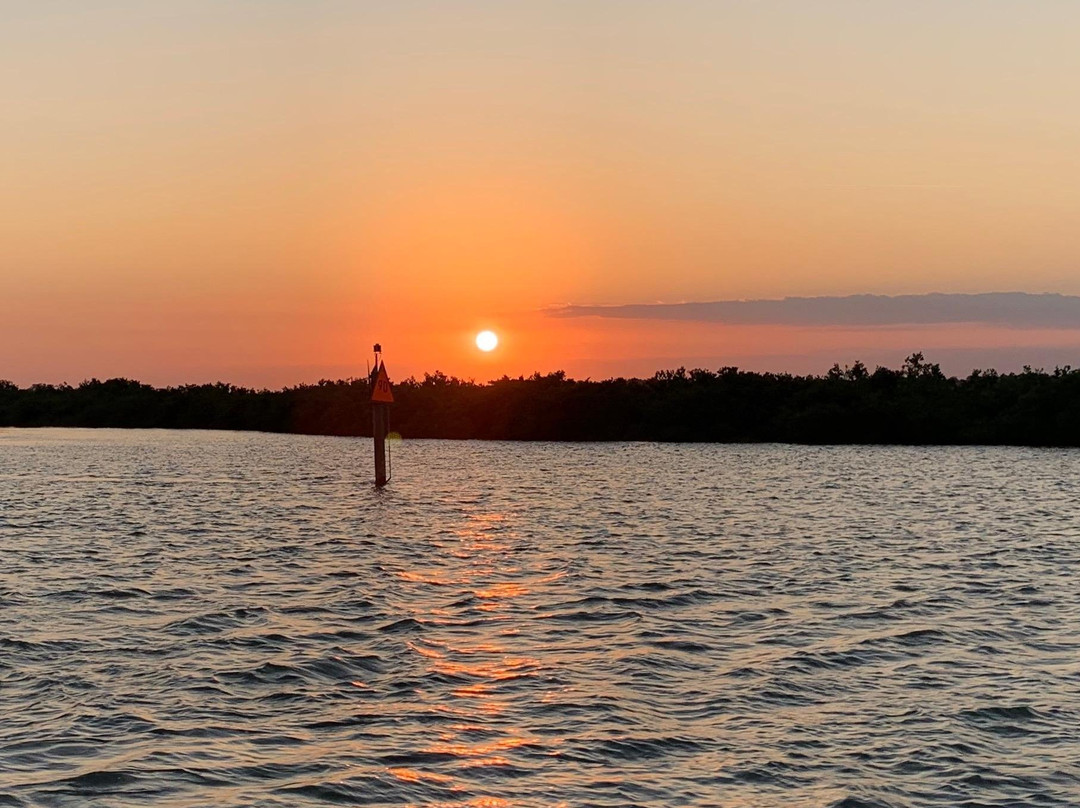 Niteline Charters-棕榈海岸必去景点