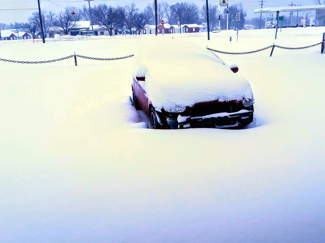 The Vintage Inn主图