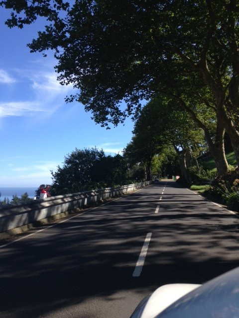 Pineapple Tours-蓬塔德尔加达必去景点