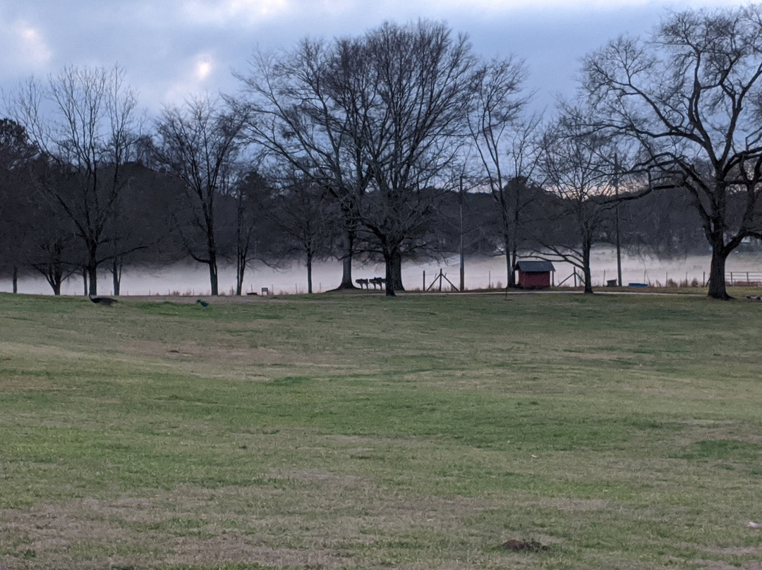 The Farmhouse Inn主图