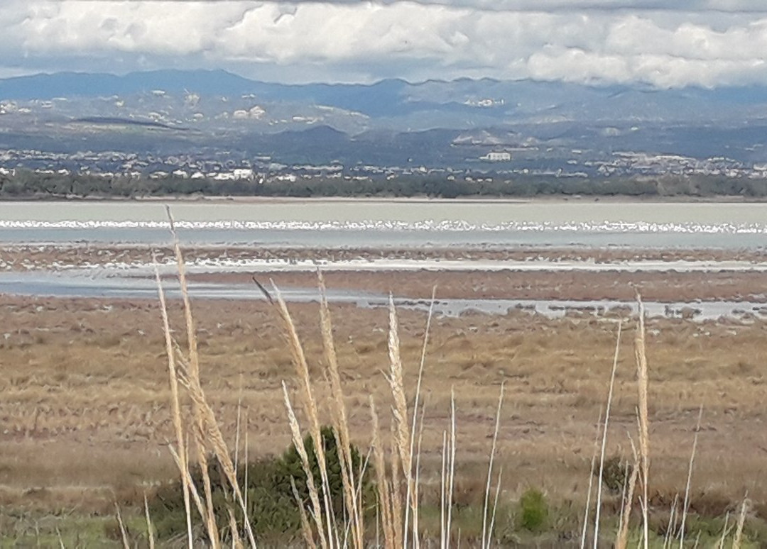 Akrotiri旅游景点-Akrotiri Environmental Education Centre