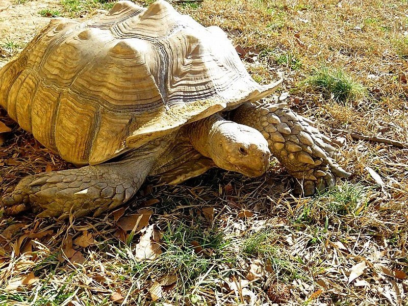 Bluebird Gap Farm-汉普顿必去景点