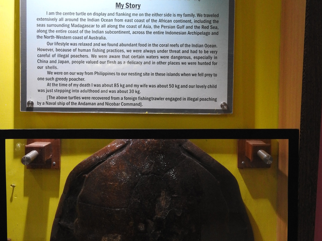 Samudrika Marine Museum-布莱尔港必去景点