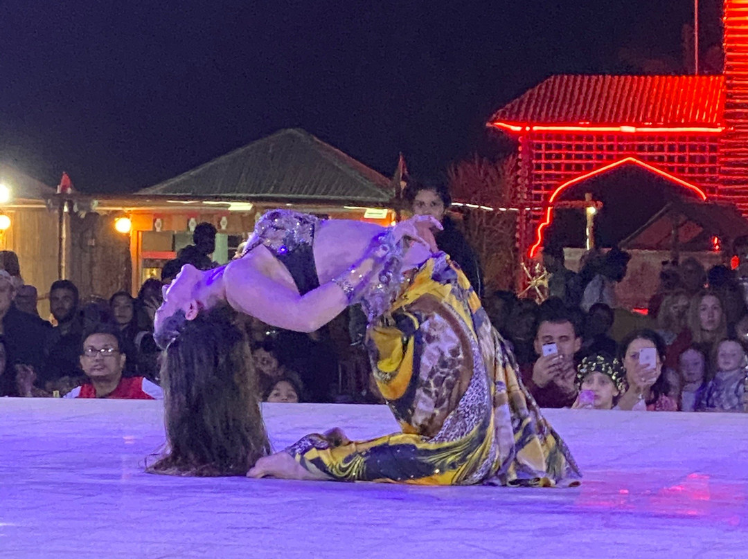 Desert Safari-迪拜必去景点