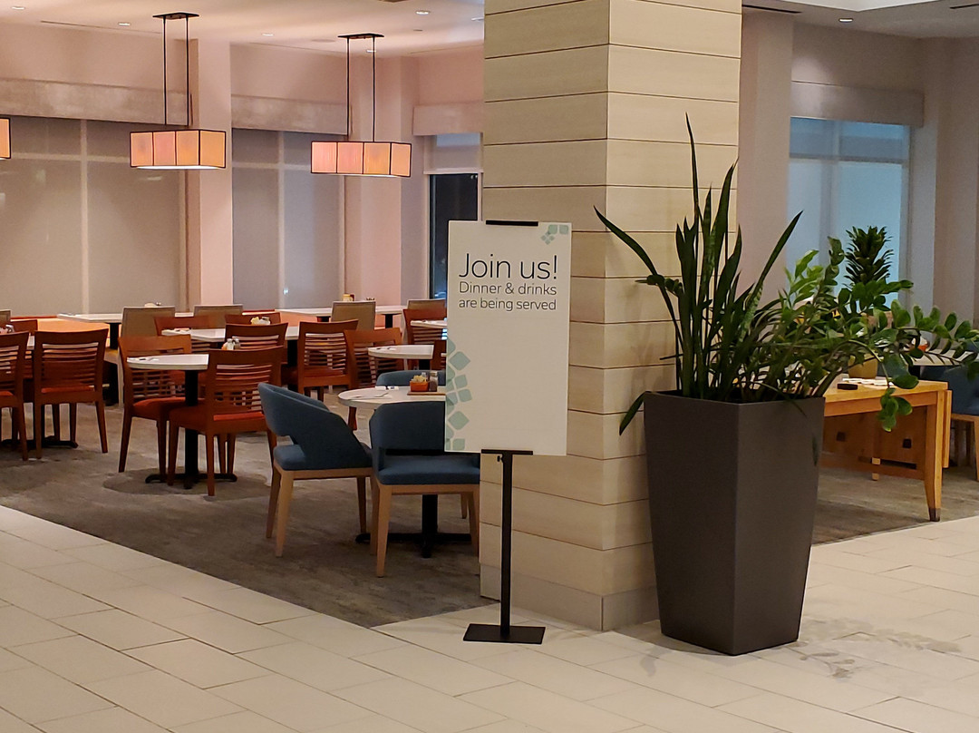 Hilton Garden Inn Houston/clear Lake Nasa主图