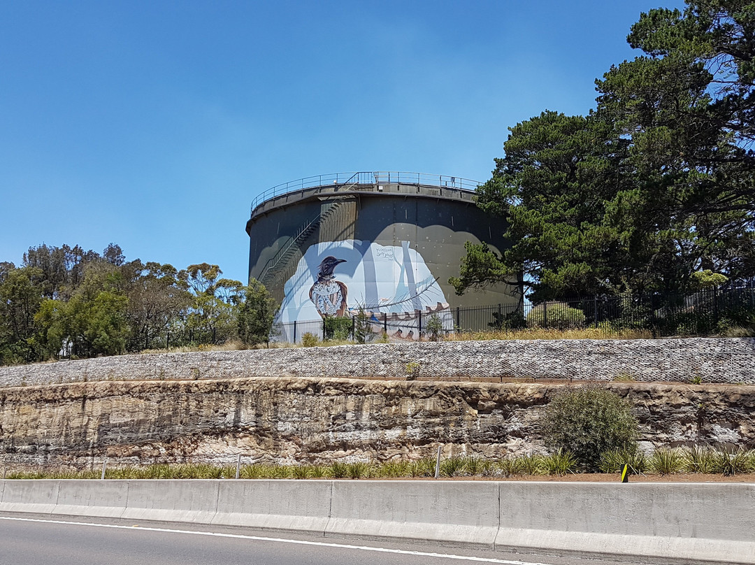 Lyrebird Mural-温特沃斯瀑布必去景点