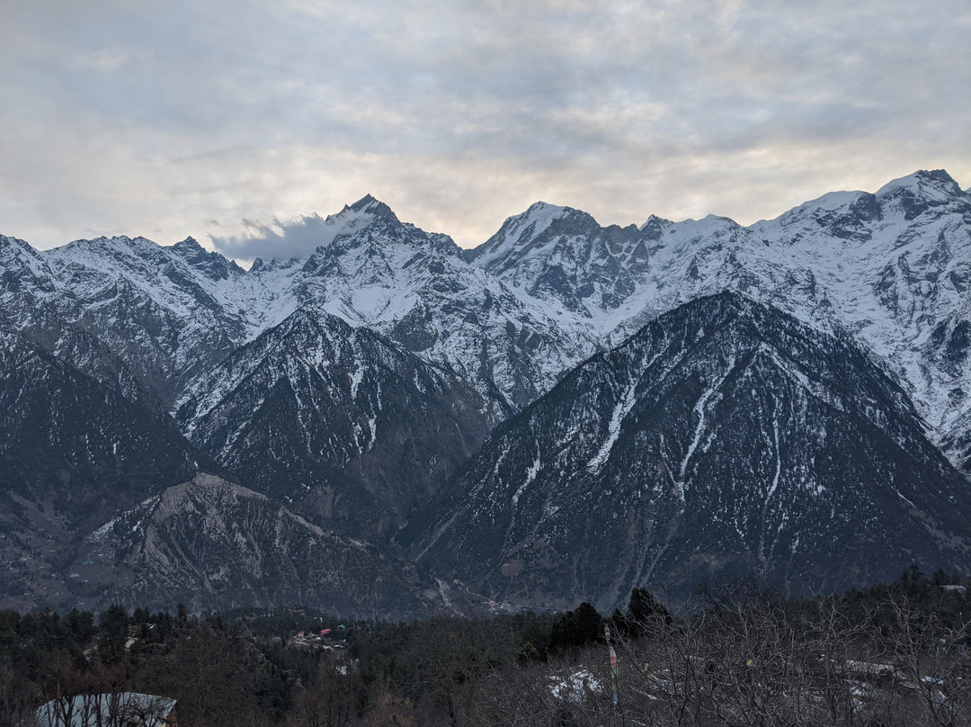 The Grand Shamba-La主图