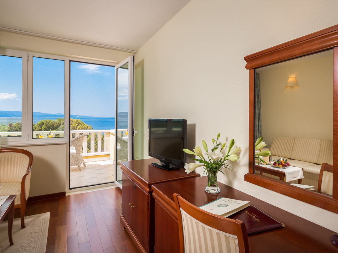 Hotel Villa Bacchus主图