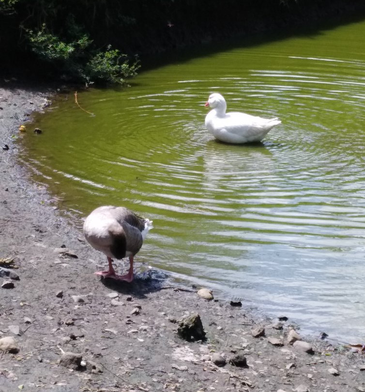 Parques Panaca-Quimbaya必去景点