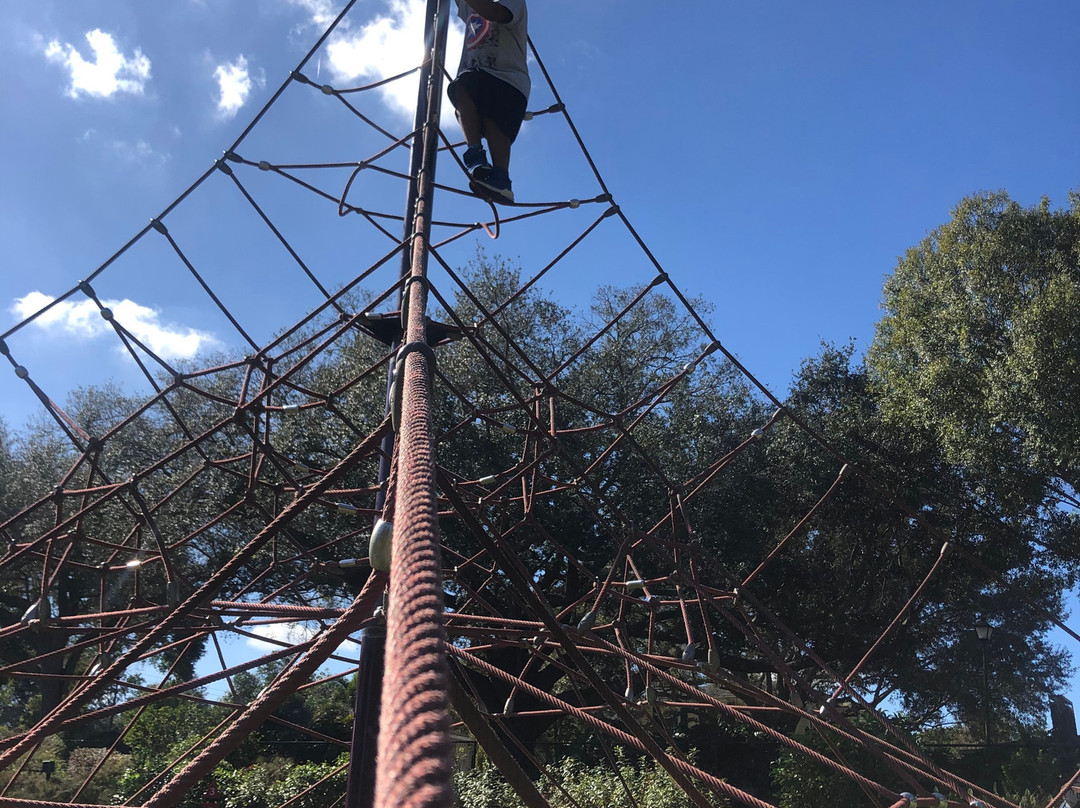 Common Ground Park-莱克兰必去景点