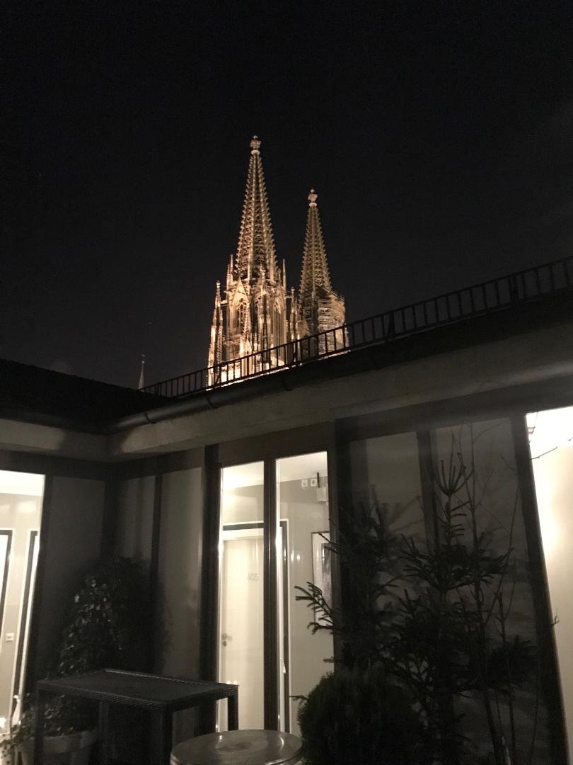 Hotel Goliath am Dom-酒店景观