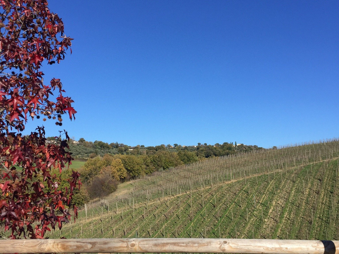 Azienda Vinicola Mastroberardino景点图片