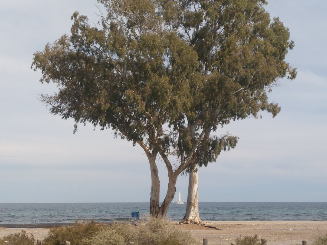 Playa La Ventilla景点图片