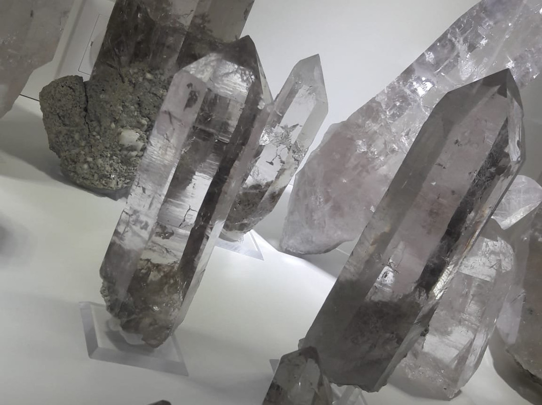 Schweizer Strahler Museum-Moerel-Filet必去景点