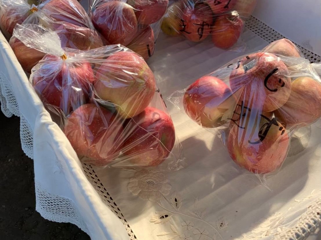 Hirota Orchard-益子町必去景点