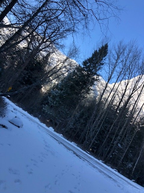 Trail of the Cedars-冰河国家公园必去景点