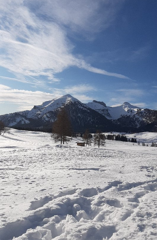 Alpine Mugon景点图片