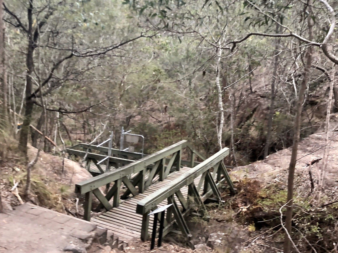 Springwood Conservation Park景点图片