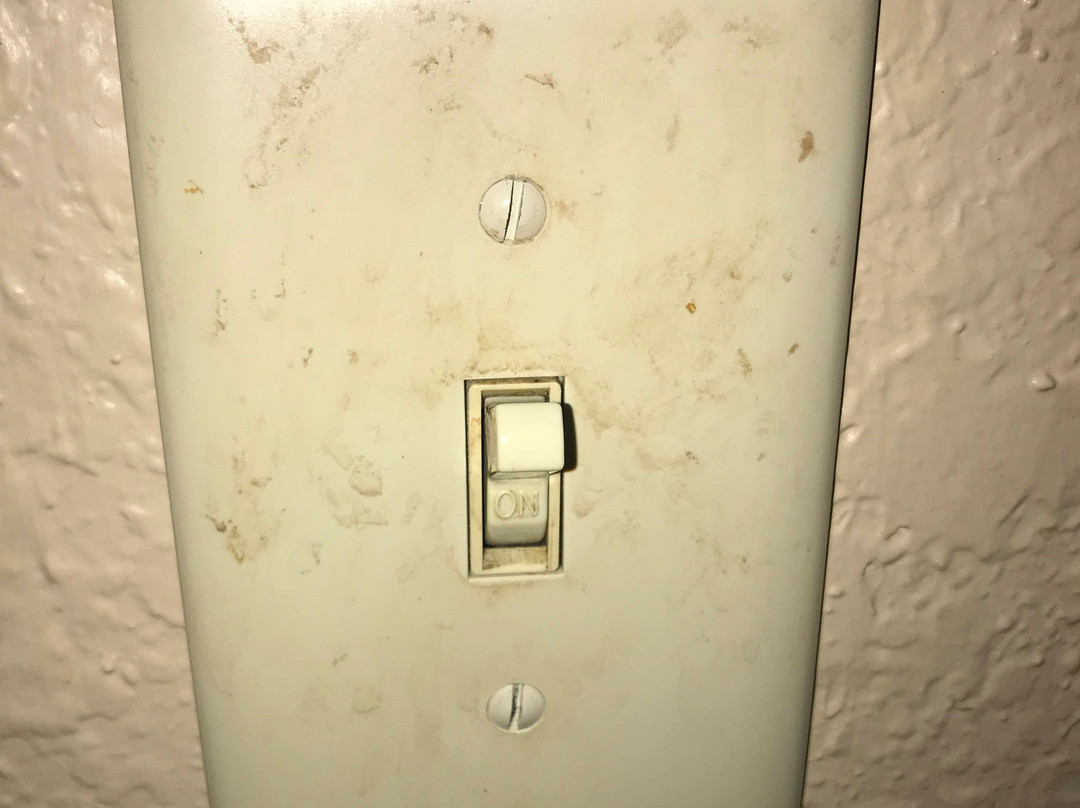 Extended Stay America - Orlando - Maitland - 1776 Pembrook Drive主图