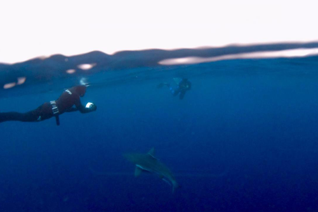 Wetu Safaris-Umkomaas必去景点