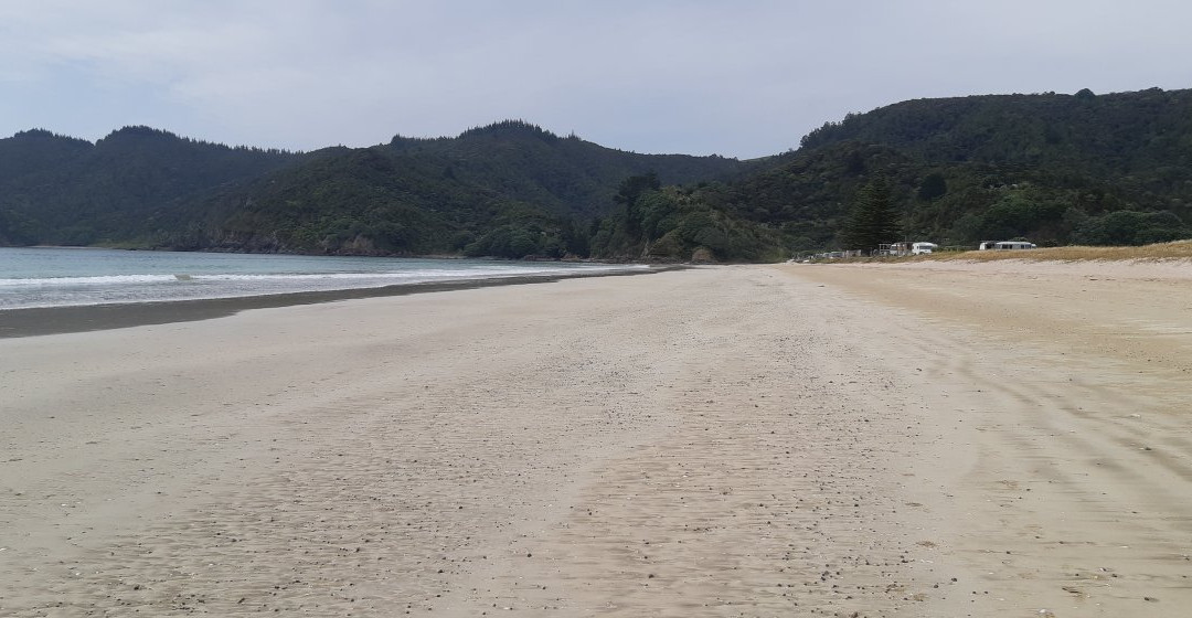Matauri Bay Beach景点图片