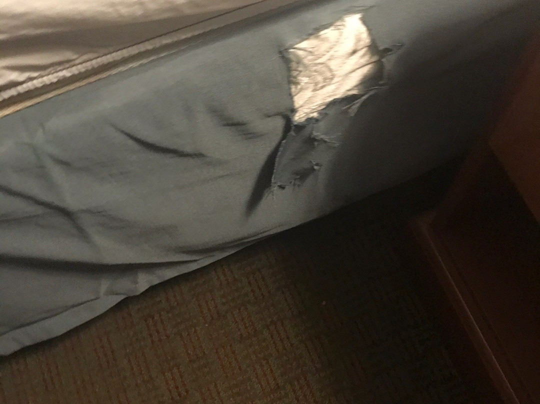 Days Inn & Suites by Wyndham Brinkley主图