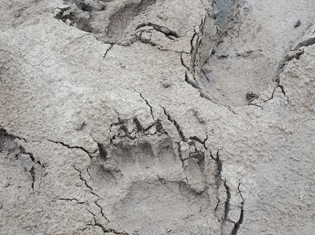 Fireside Adventures-里士满必去景点