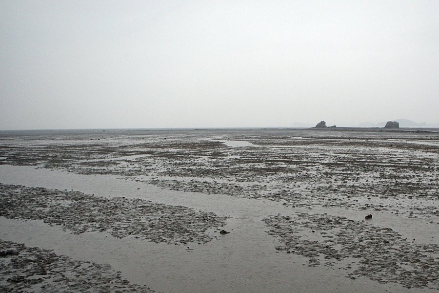 Tando Port-安山市必去景点