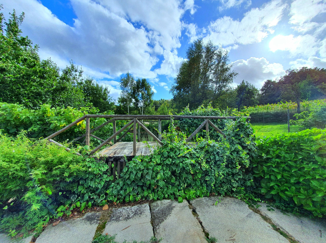 Hotel Rio Beça主图