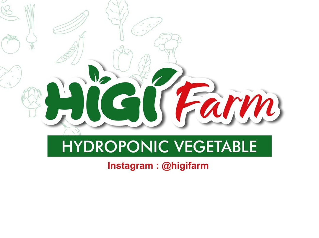 Higi Farm Hidroponik景点图片