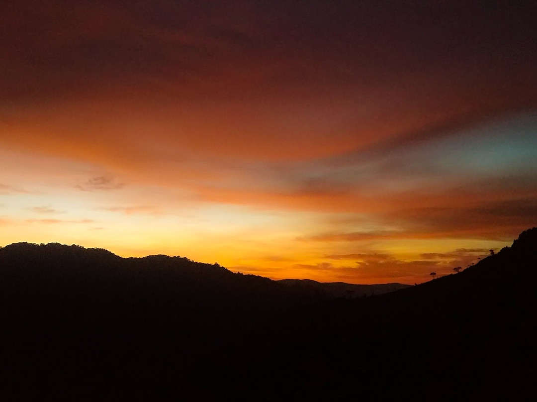 Kisoro酒店住宿-Gorilla Heights Lodge - Bwindi