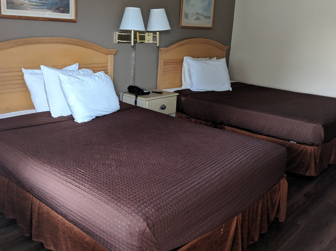 Loyalty Inn Rockingham主图