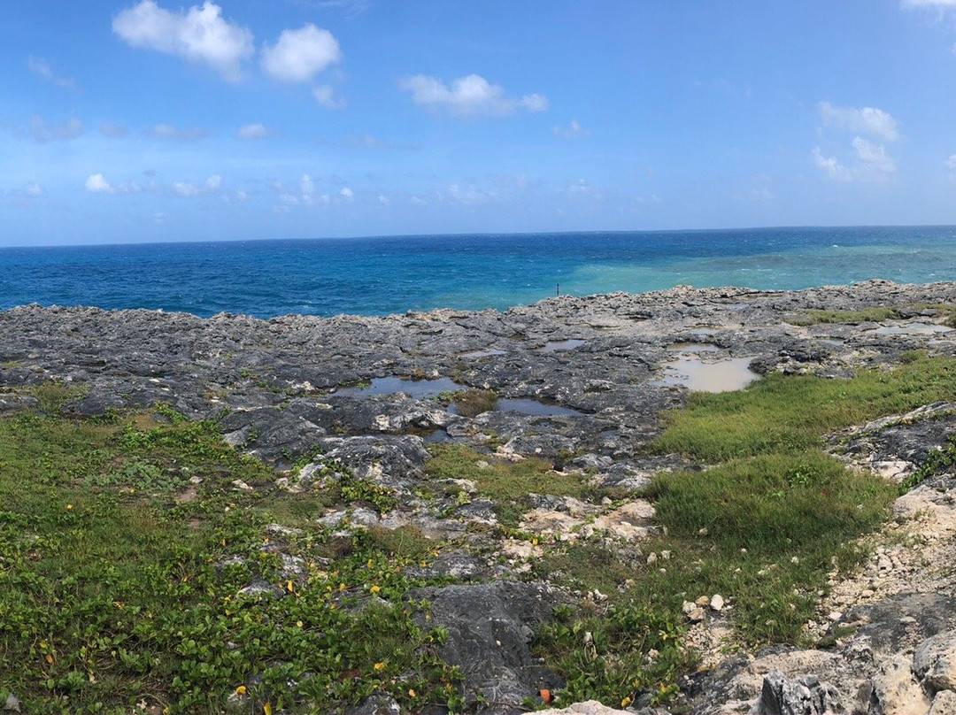 Williams Tours Barbados-布里奇顿必去景点