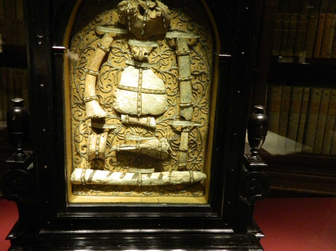 Biblioteca del Seminario景点图片