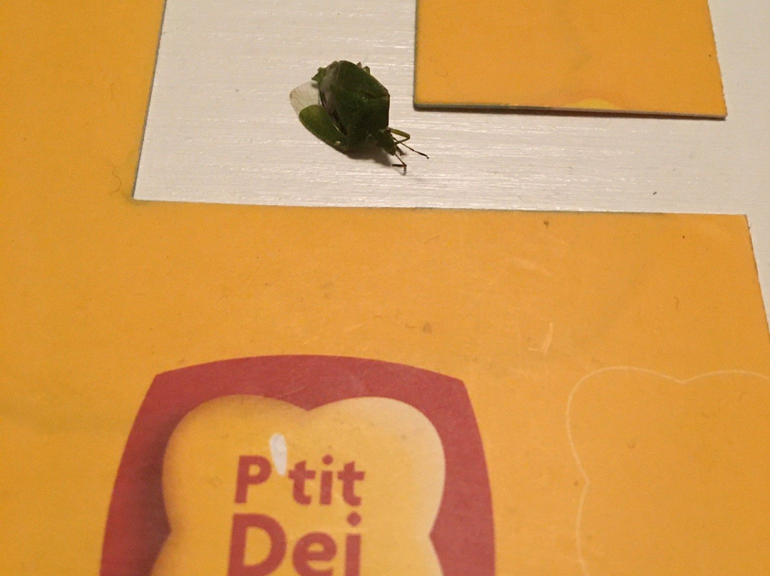 The Originals City, Hotel Mulhouse East主图